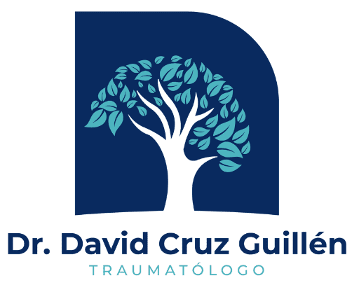 Traumatologo Angeles Centro Sur Queretaro